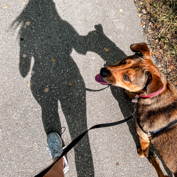 Meet your Posher, Alena - Picture 1 of 1